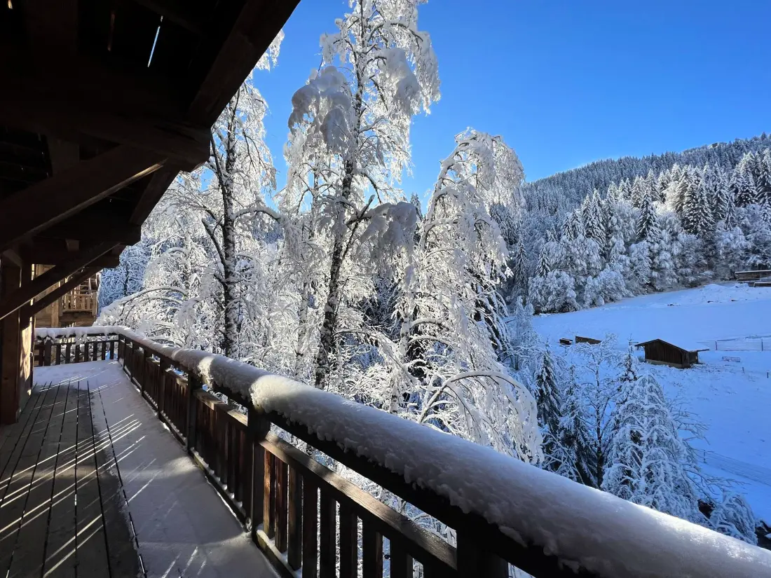 Residence Mesange Cendree-morzine