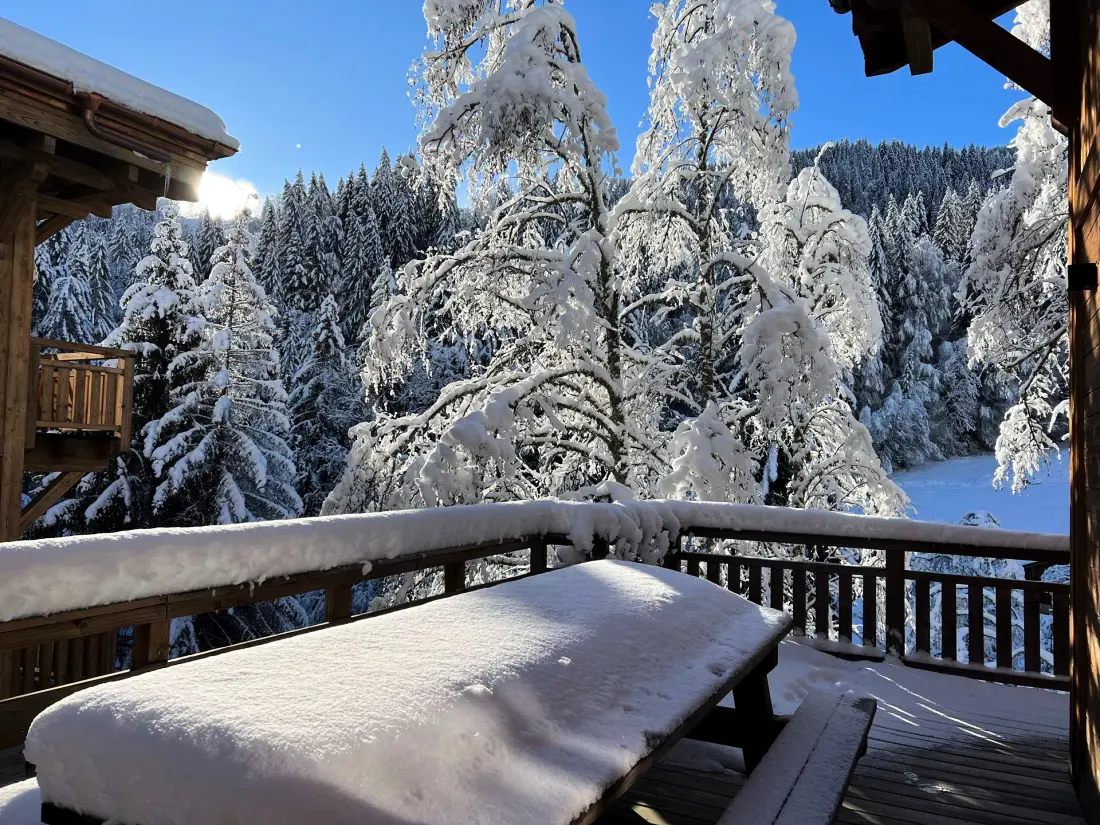 Residence Mesange Cendree-morzine