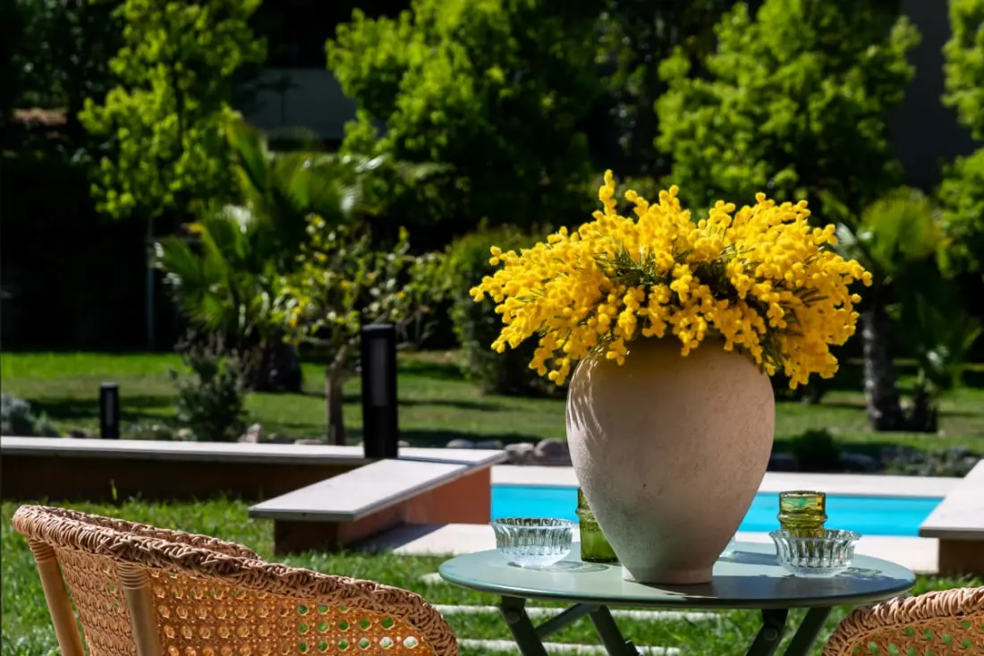 Résidence Mougins - Villa Renove - úszómedence - nyugodt