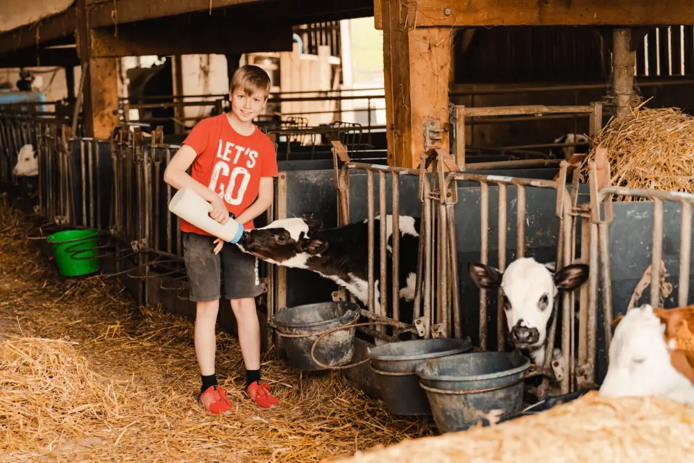 Alpes Mancelles - Parcel Tiny House