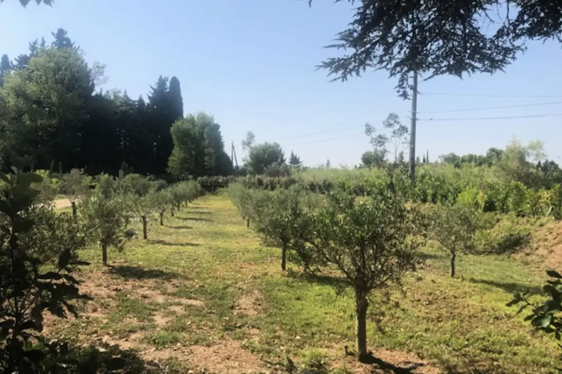"új" Mas De Ginoux Mourièsben