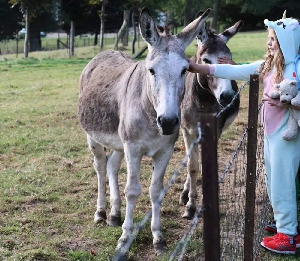 Camping Paradis Le Val de Trie 4 Sterne★★★★