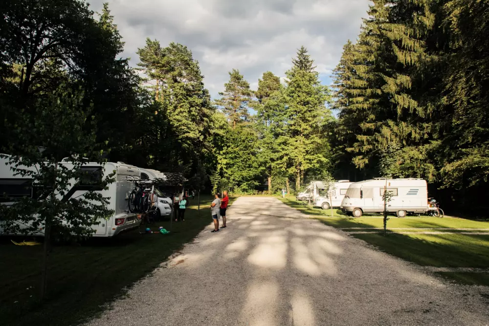 Forest Camping Mozirje 3 Stelle★★★