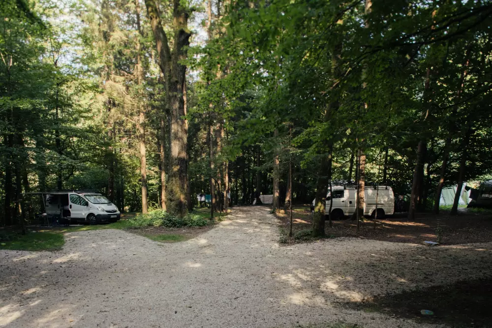 Forest Camping Mozirje 3 Stelle★★★