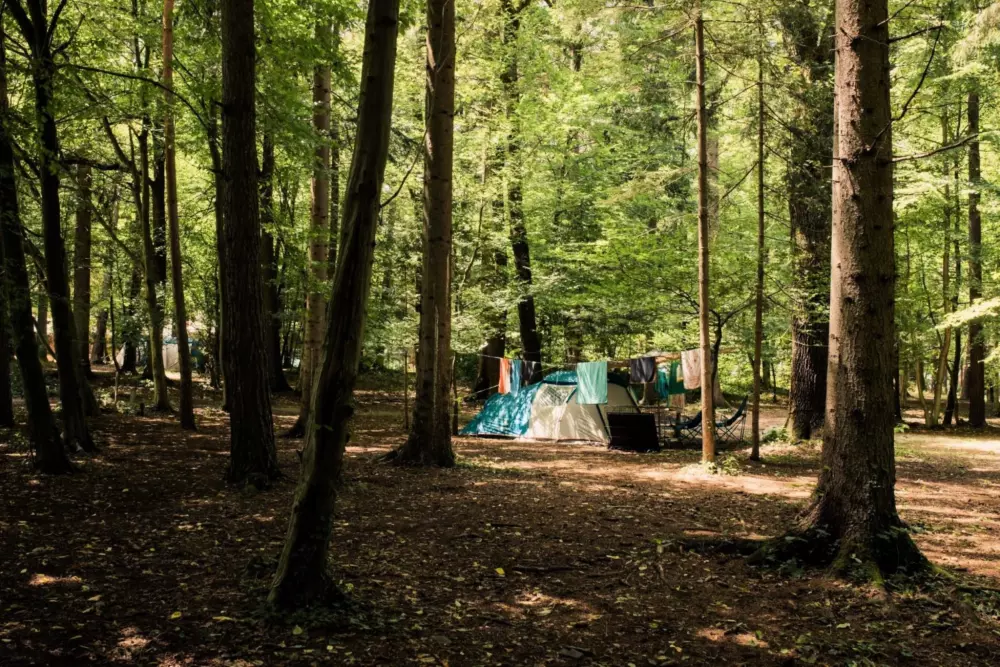 Forest Camping Mozirje 3 Stelle★★★