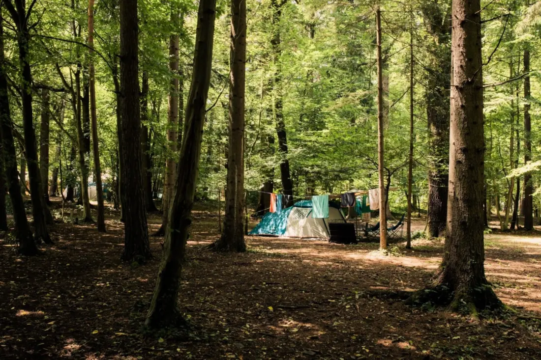 Forest Camping Mozirje 3 Gwiazdy★★★