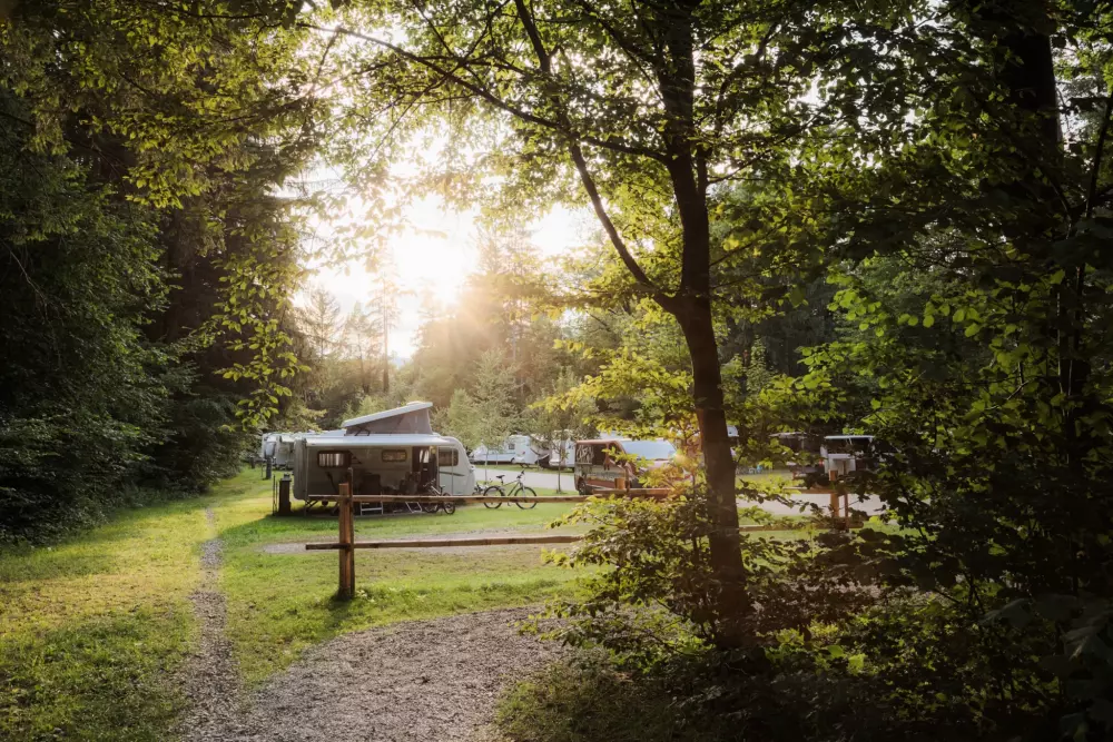 Forest Camping Mozirje 3 Stelle★★★