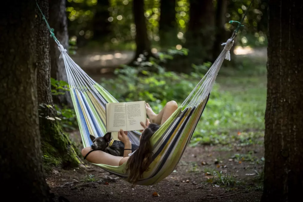 Forest Camping Mozirje 3 Stelle★★★