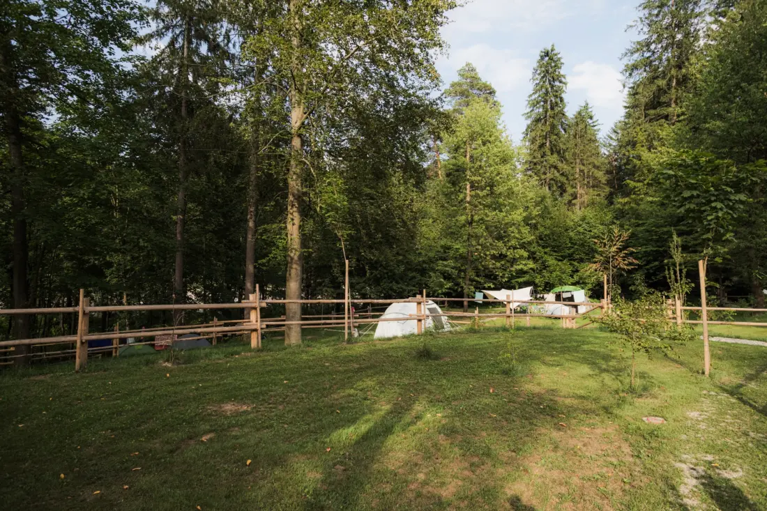 Forest Camping Mozirje 3 Gwiazdy★★★