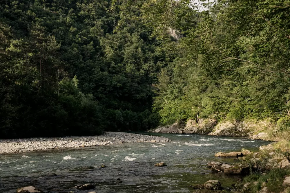 Forest Camping Mozirje 3 Stelle★★★