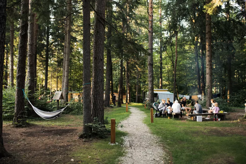 Forest Camping Mozirje 3 Stelle★★★