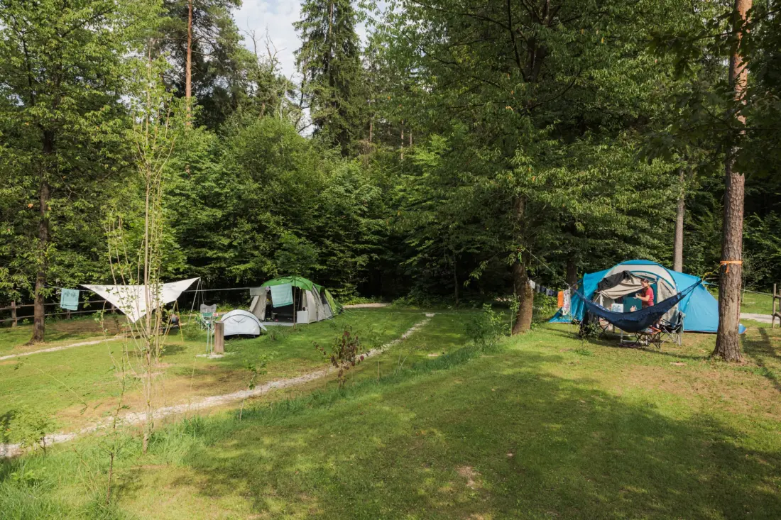Forest Camping Mozirje 3 Gwiazdy★★★