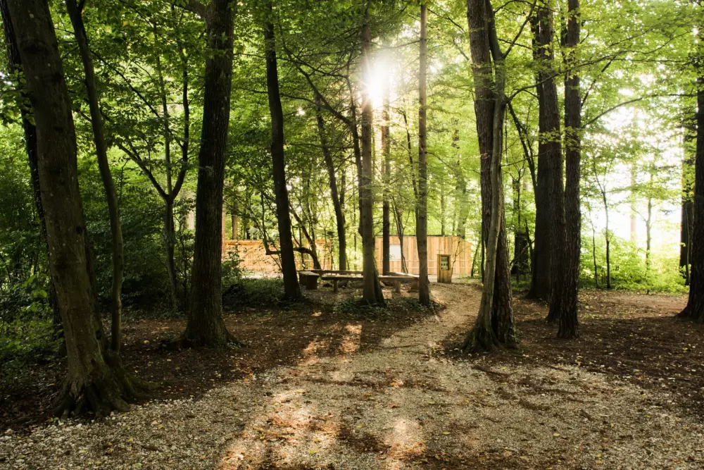 Forest Camping Mozirje 3 Stelle★★★