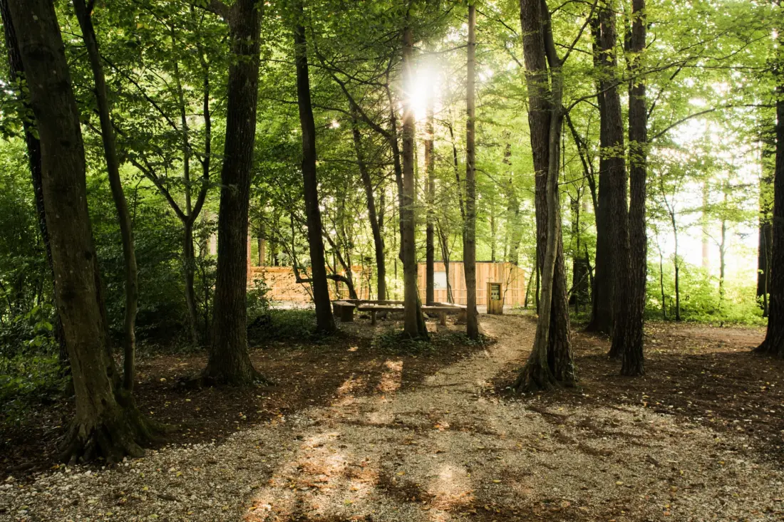 Forest Camping Mozirje 3 Gwiazdy★★★