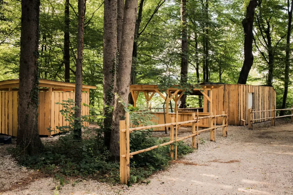 Forest Camping Mozirje 3 Stelle★★★