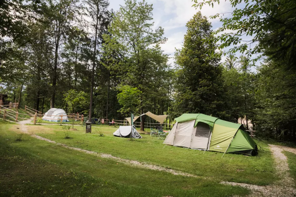 Forest Camping Mozirje 3 Stelle★★★