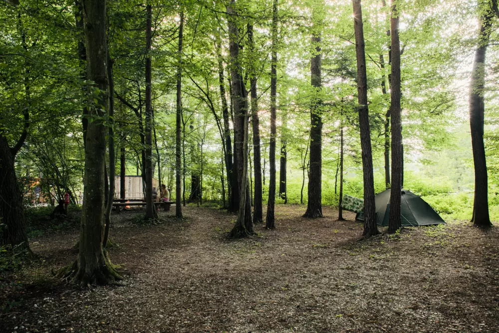 Forest Camping Mozirje 3 Stelle★★★