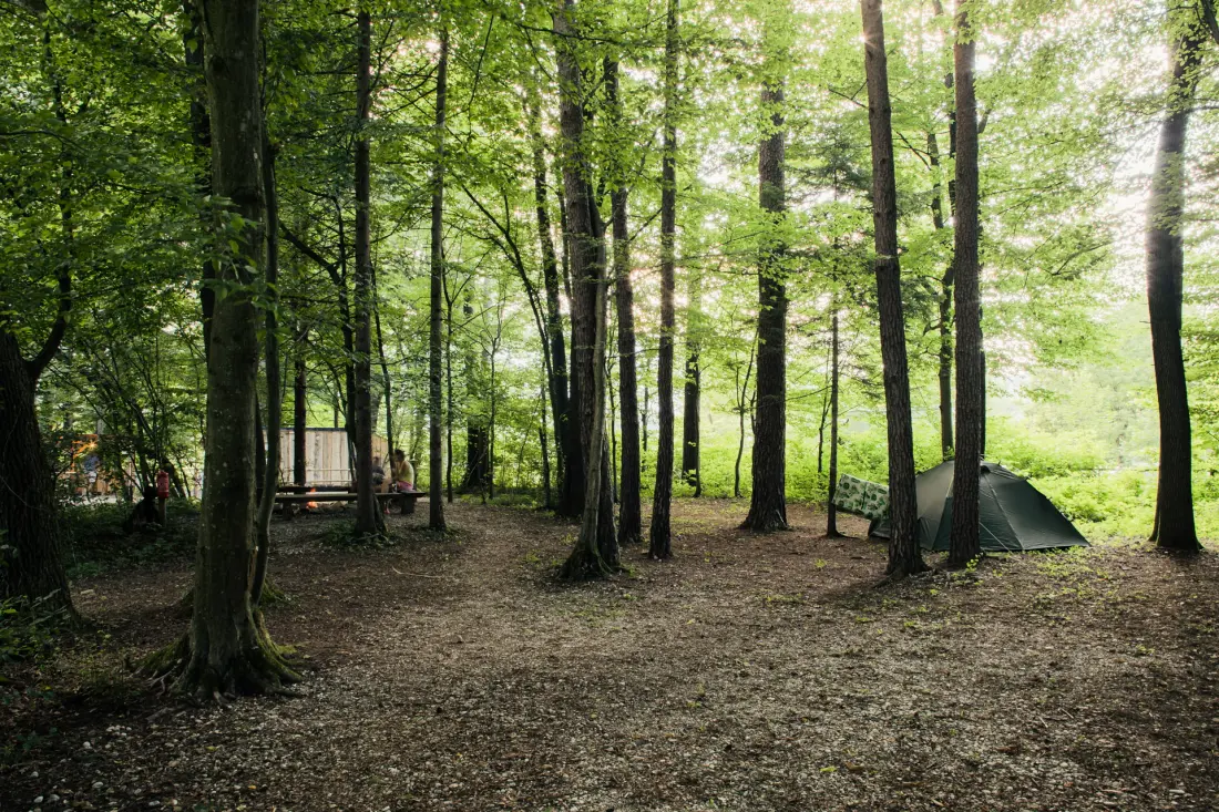 Forest Camping Mozirje 3 Gwiazdy★★★