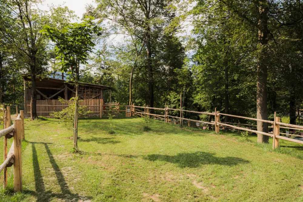 Forest Camping Mozirje 3 Stelle★★★