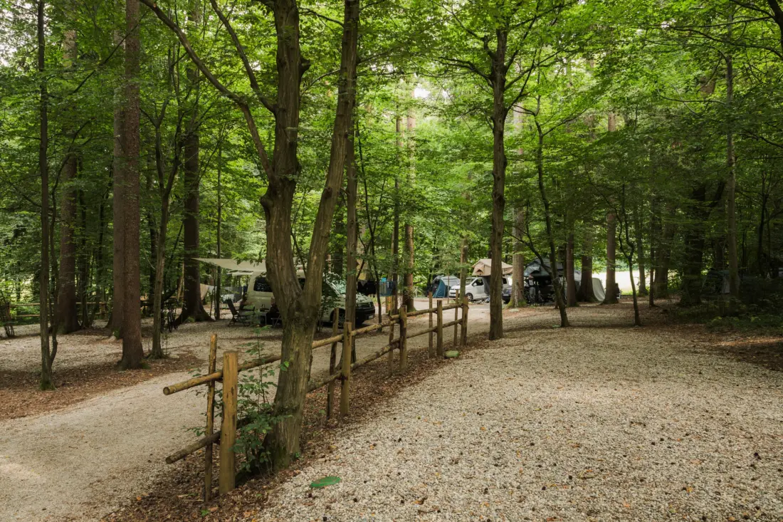Forest Camping Mozirje 3 Gwiazdy★★★