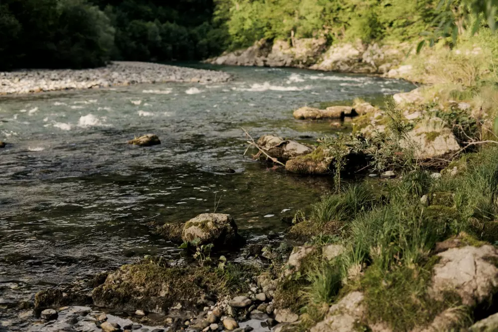 Forest Camping Mozirje 3 Stelle★★★