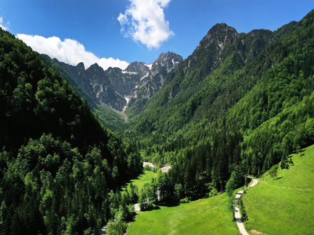 Forest Camping Mozirje 3 Stelle★★★