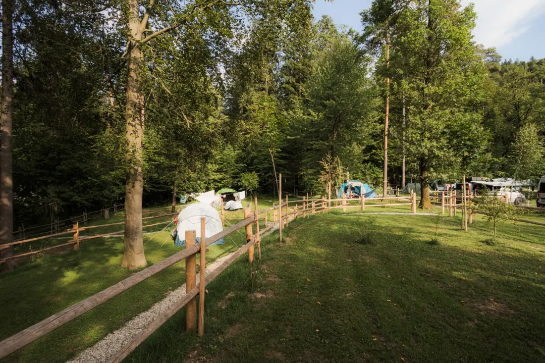 Forest Camping Mozirje 3 Gwiazdy★★★