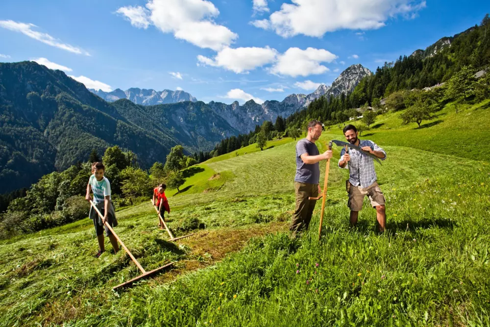 Forest Camping Mozirje 3 Stelle★★★