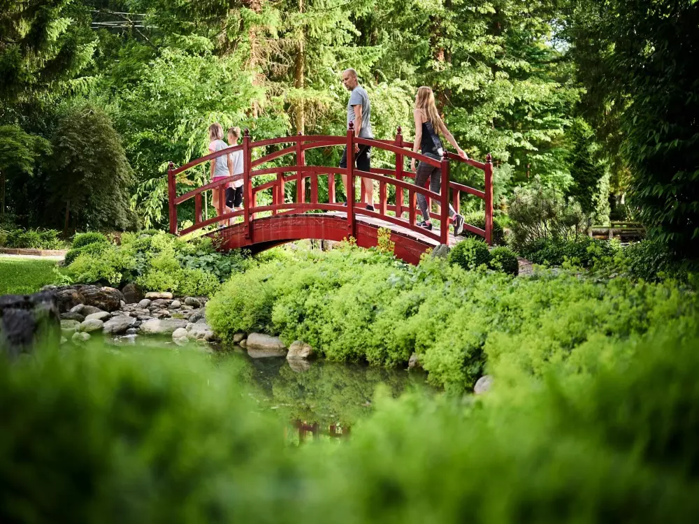 Forest Camping Mozirje 3 Stelle★★★