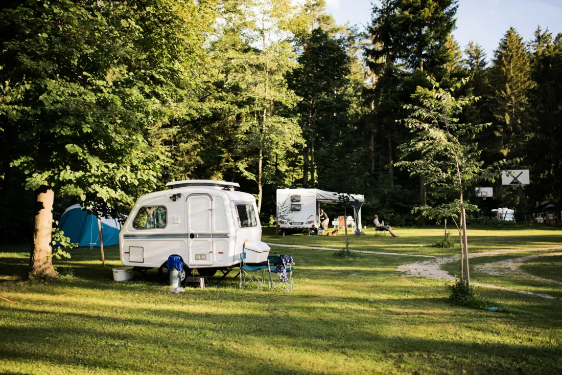 Forest Camping Mozirje 3 Gwiazdy★★★