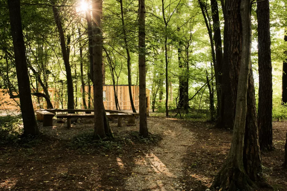 Forest Camping Mozirje 3 Stelle★★★