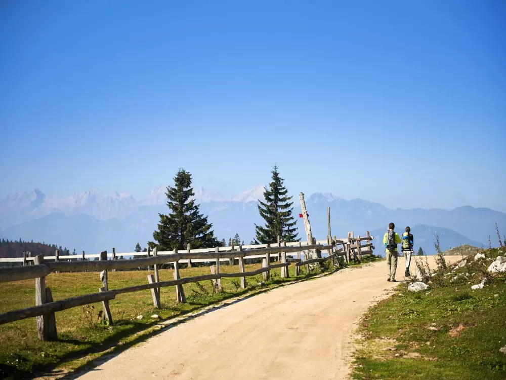 Forest Camping Mozirje 3 Stelle★★★