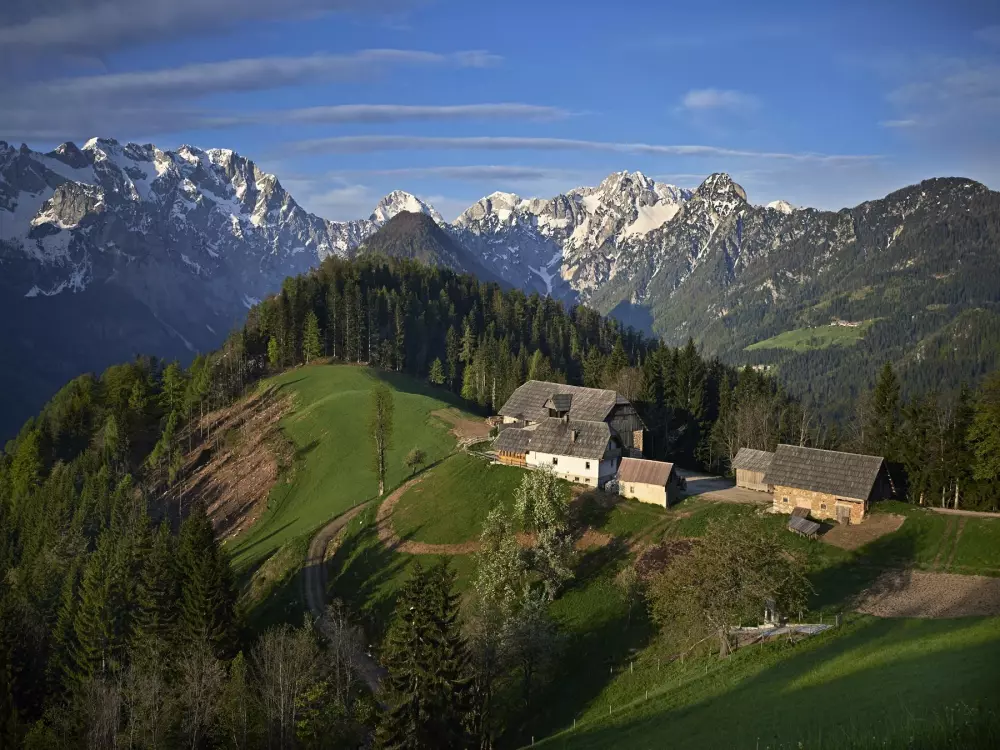 Forest Camping Mozirje 3 Stelle★★★