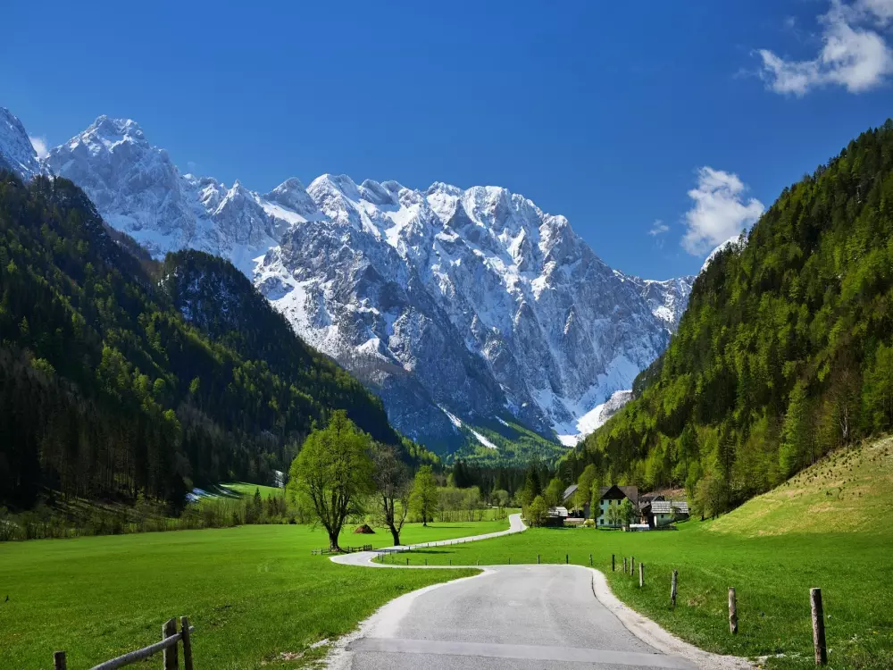 Forest Camping Mozirje 3 Stelle★★★