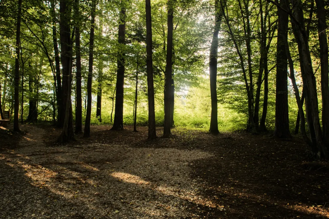 Forest Camping Mozirje 3 Gwiazdy★★★
