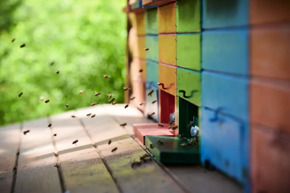 Forest Camping Mozirje 3 Stelle★★★