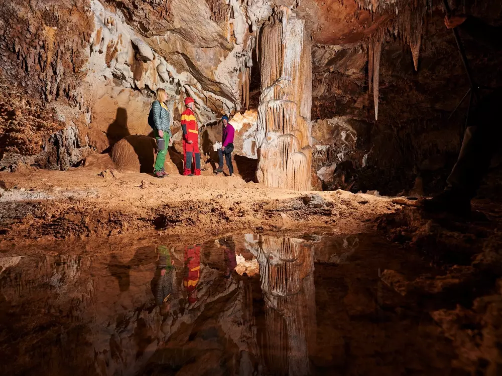 Forest Camping Mozirje 3 Stelle★★★