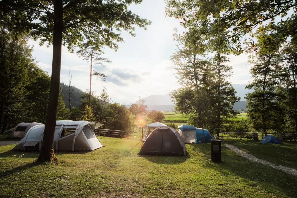 Forest Camping Mozirje 3 Stelle★★★