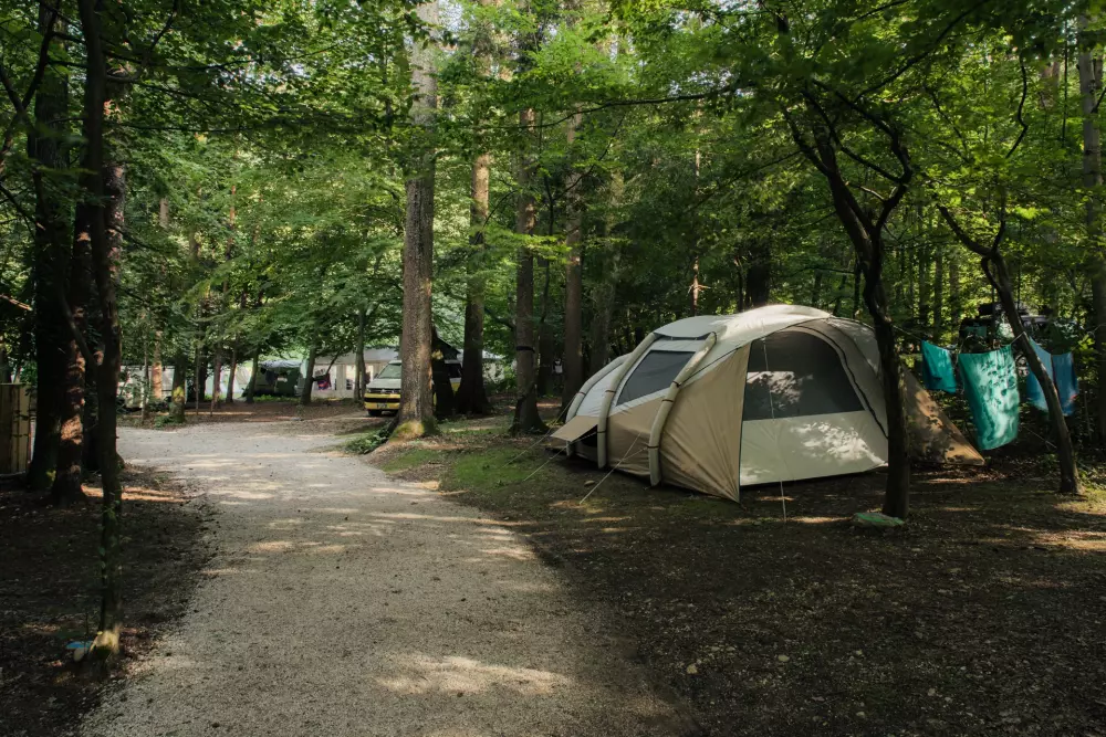 Forest Camping Mozirje 3 Stelle★★★