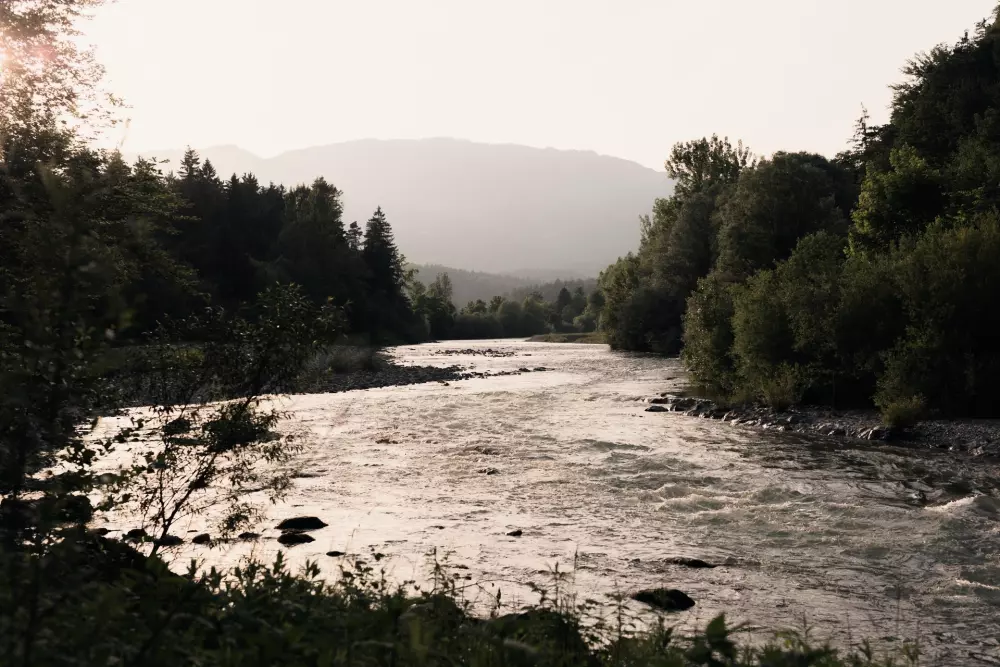 Forest Camping Mozirje 3 Stelle★★★