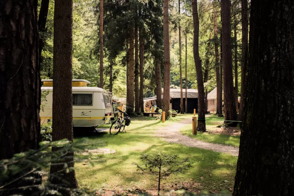 Forest Camping Mozirje 3 Stelle★★★