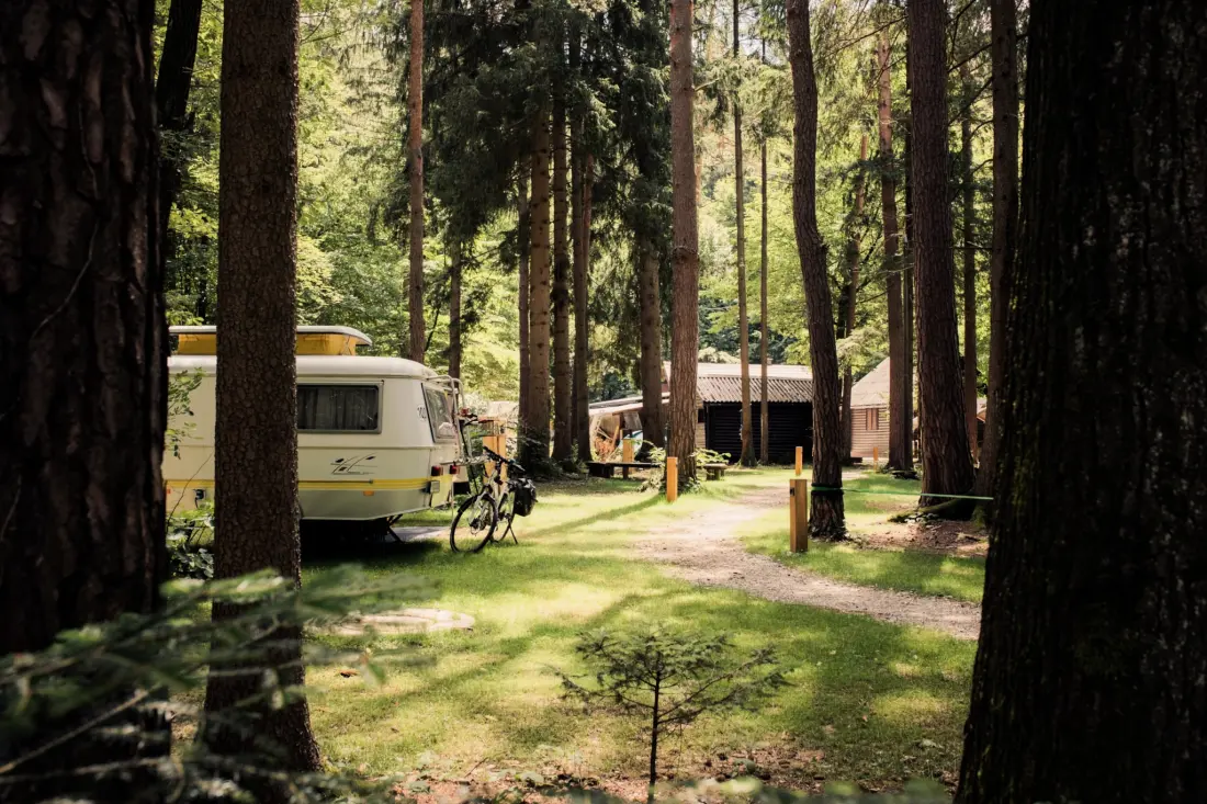 Forest Camping Mozirje 3 Gwiazdy★★★