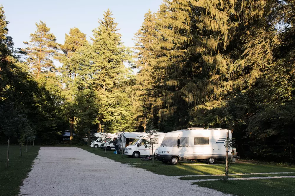 Forest Camping Mozirje 3 Stelle★★★