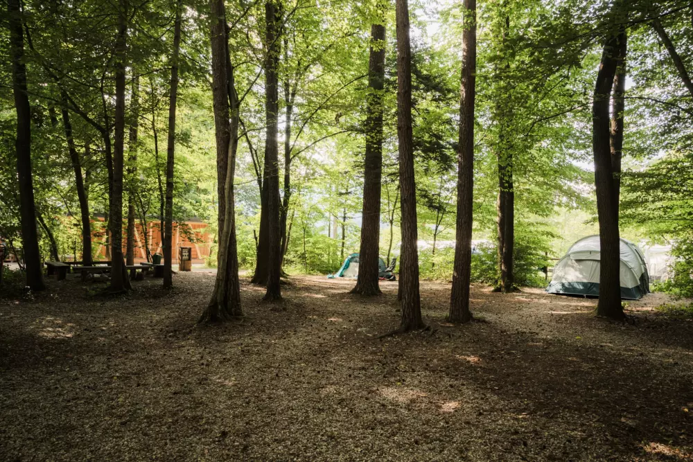 Forest Camping Mozirje 3 Stelle★★★