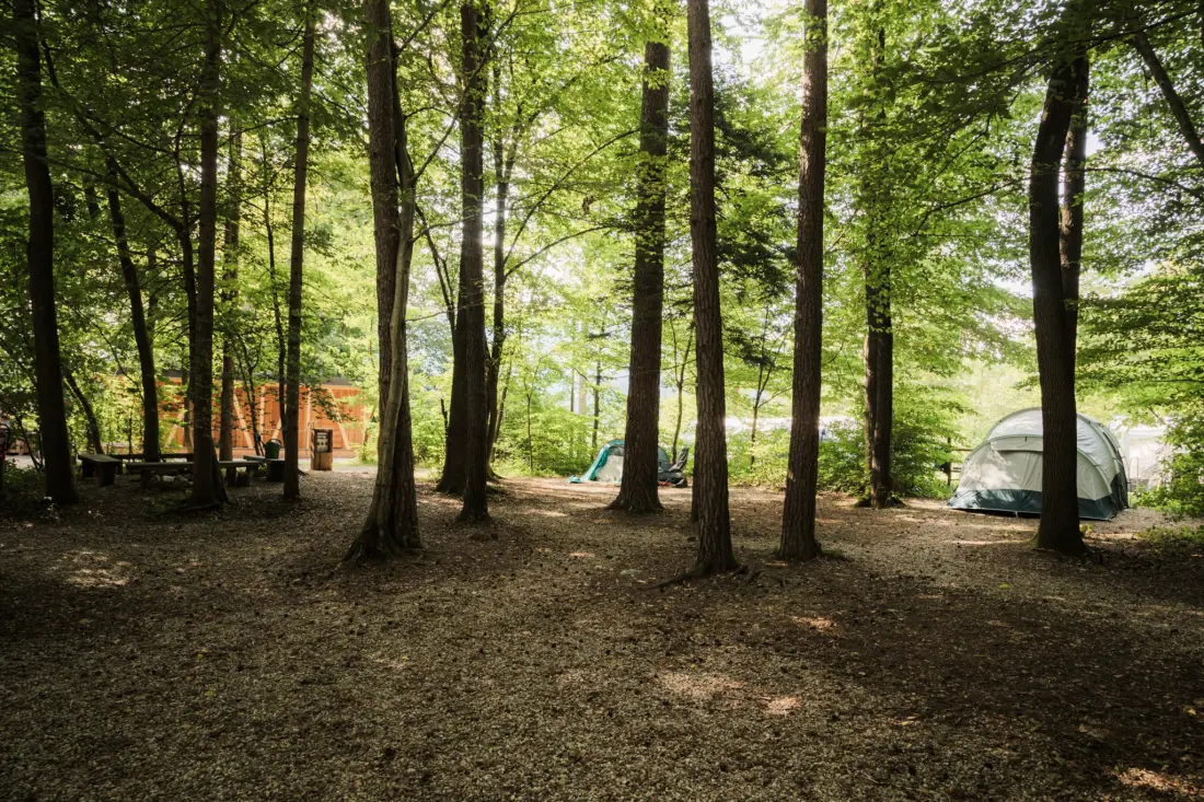 Forest Camping Mozirje 3 Gwiazdy★★★