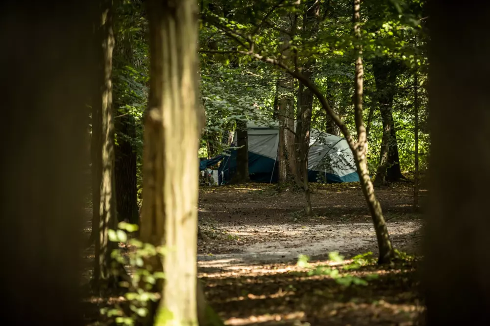 Forest Camping Mozirje 3 Stelle★★★