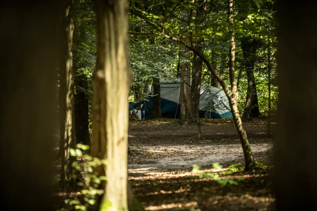 Forest Camping Mozirje 3 Gwiazdy★★★