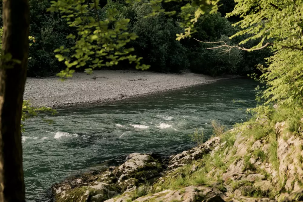 Forest Camping Mozirje 3 Stelle★★★