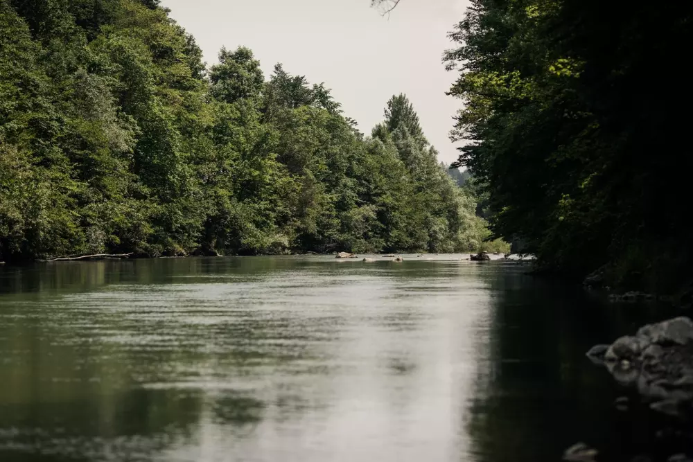 Forest Camping Mozirje 3 Stelle★★★