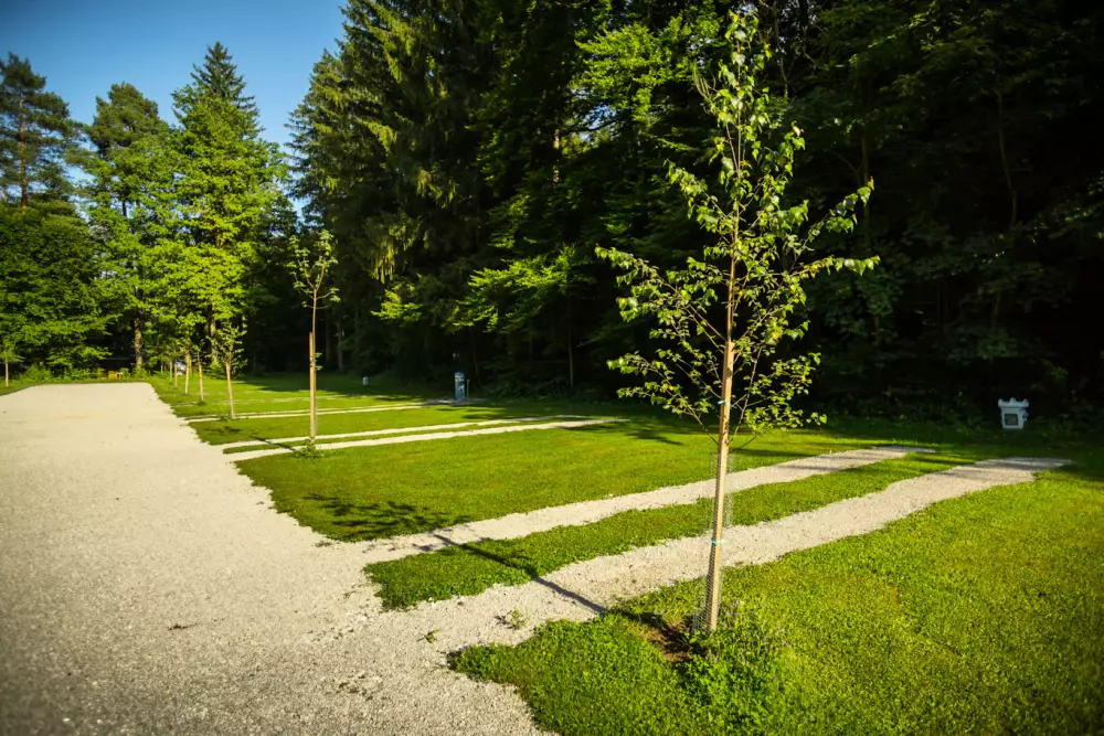 Forest Camping Mozirje 3 Stelle★★★